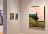 Visionary - Cathy Hegman Solo Show - Installation View
