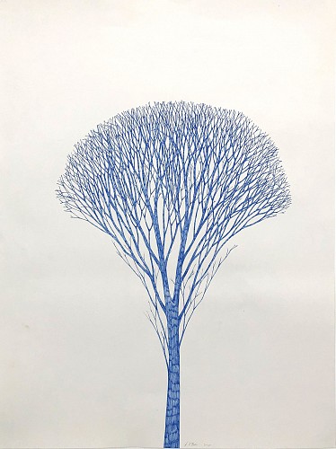 Stewart Helm Blue Tree, 2021