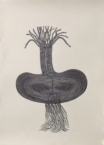 Stewart Helm - Bulb, 2022