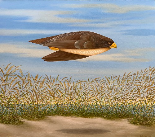 Fly Over (Land and Sea) 30x34 oil canvas 2023