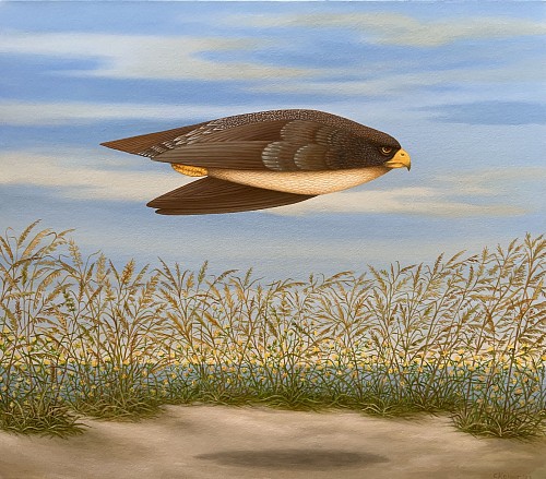 Exhibition: The Mechanics of Color, Work: Charles Keiger Fly Over ( Land and Sea), 2023