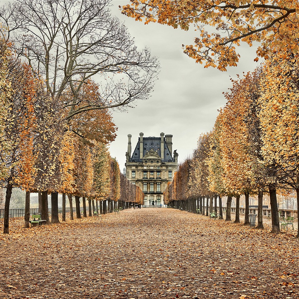David Burdeny, Red Leaves, Paris, France, 2018
Archival pigment print, 44" x 44",46.5"x 46.63" framed
Edt. 6/10
DB 26
Sold