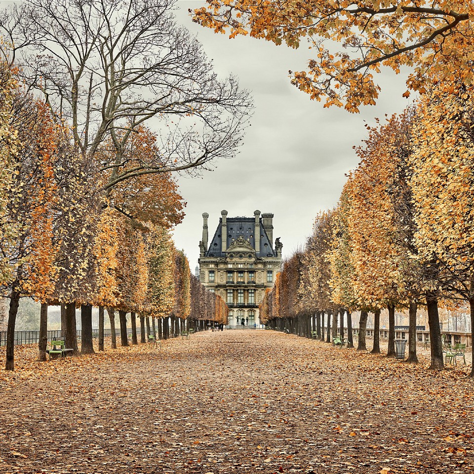 David Burdeny, Red Leaves, Paris, France, 2018
Archival pigment print, 44" x 44",46.5"x 46.63" framed
Edt. 6/10
DB 26
Price Upon Request