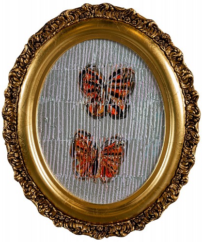 Monarchs, 2023