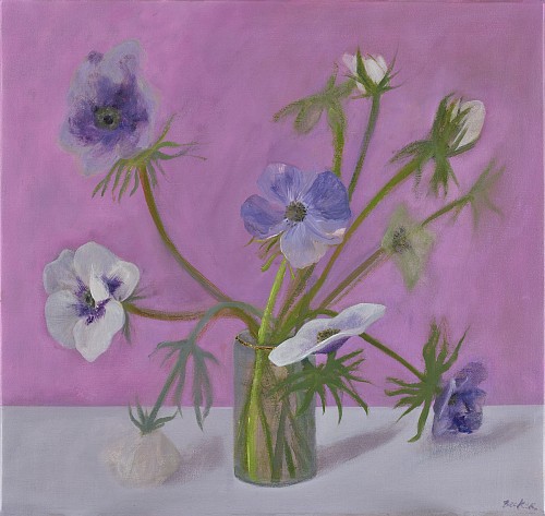 Work: Haidee Becker Anemonies - Pink, 2025