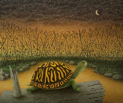 Work: Charles Keiger Cosmic Dust (Turtle), 2025